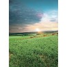 Kubota Opryskiwacze zawieszane XMS | ABC ROL