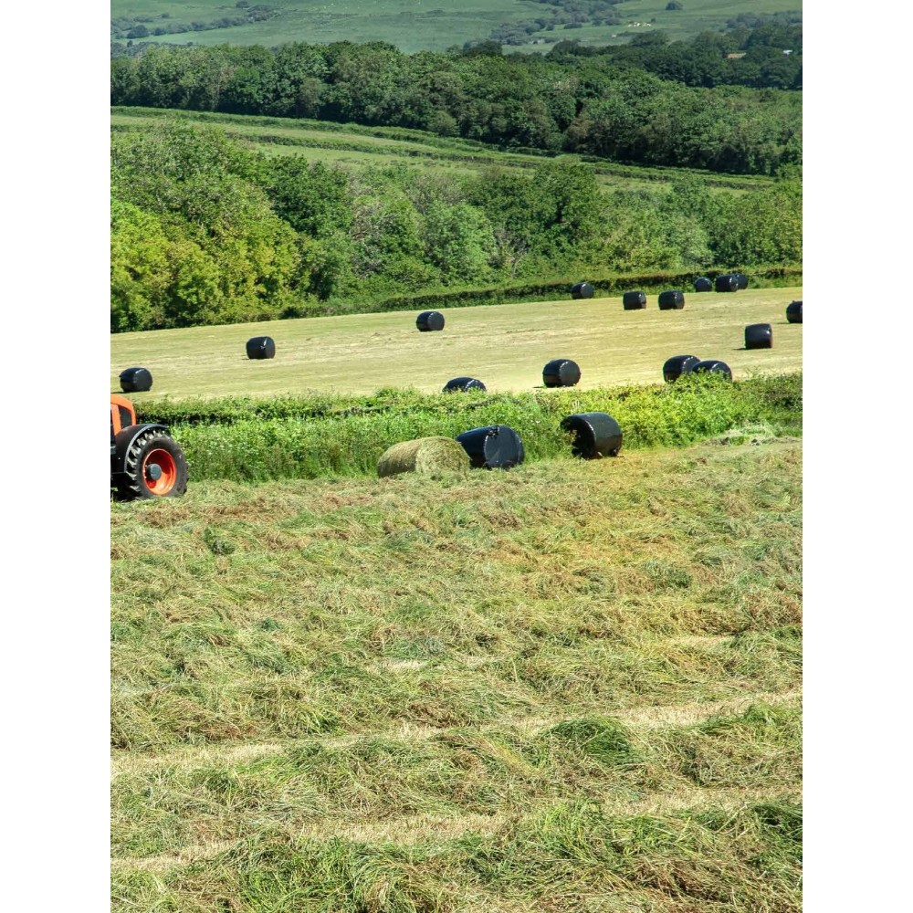 Kubota Prasy stałokomorowe BF (BF2255 Plus, BF3500) | ABC ROL