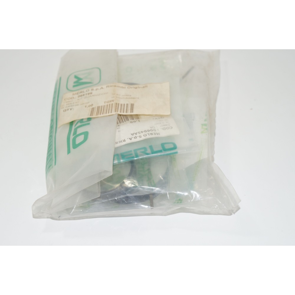 Zestaw uszczelek siłownika wysuwu MERLO 066199