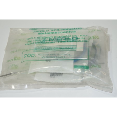 Zestaw uszczelek siłownika wysuwu MERLO 066199